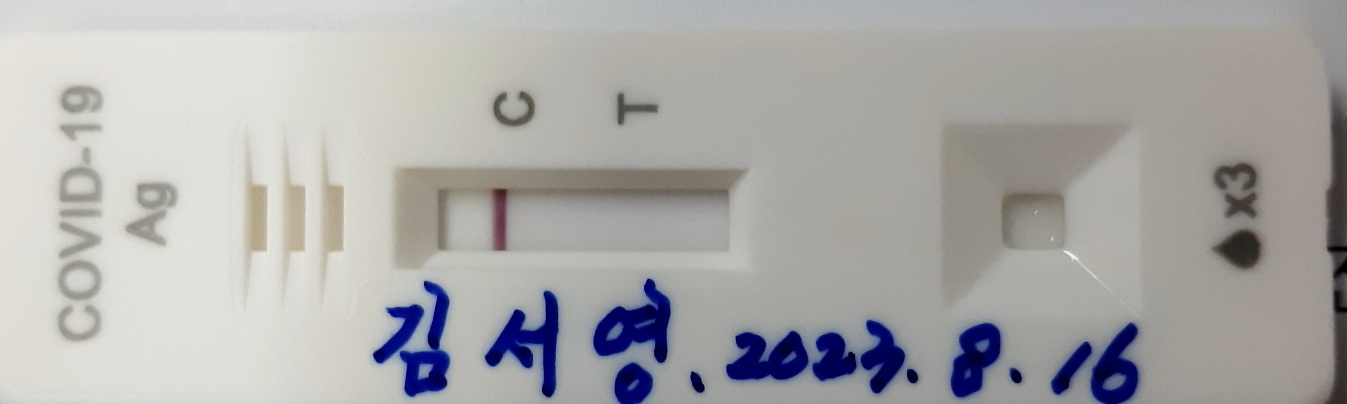 예시