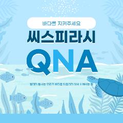 씨스파라시QNA-박은영.jpg